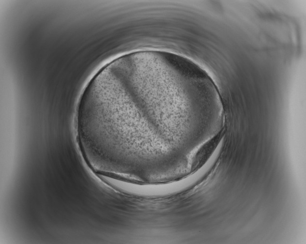 X0000094781531200711301536