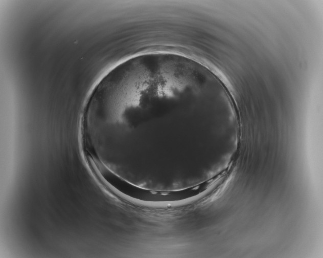 X0000094781533200711301536