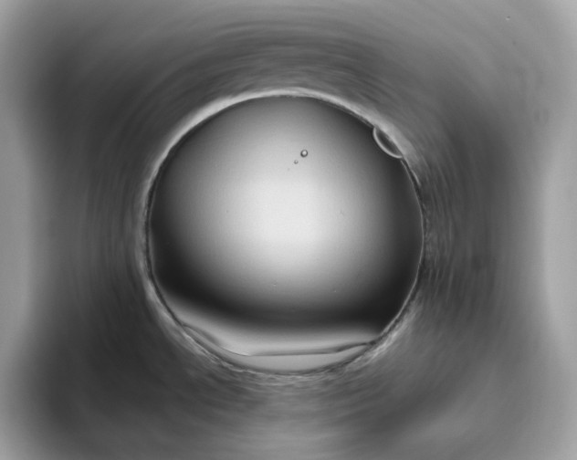 X0000094781534200711301536