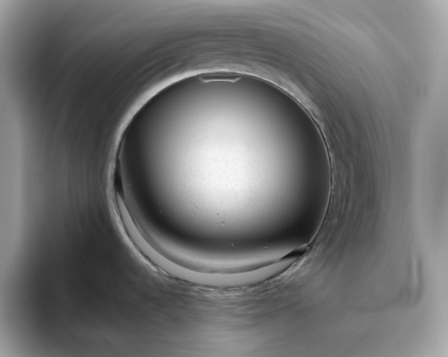 X0000094781536200711301536