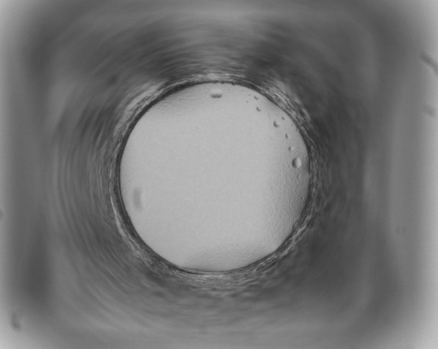 X0000094780001200712071215