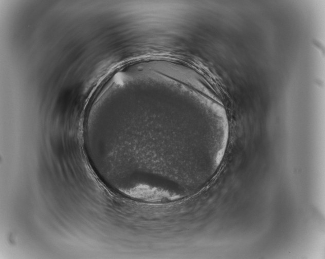 X0000094780002200712071215