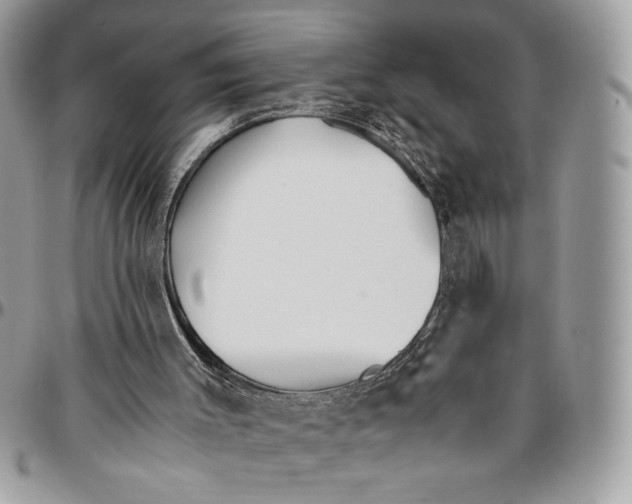 X0000094780003200712071215