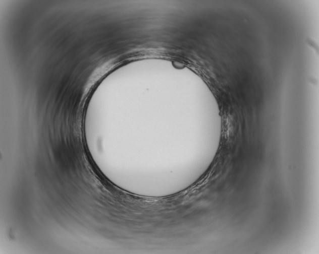 X0000094780004200712071215