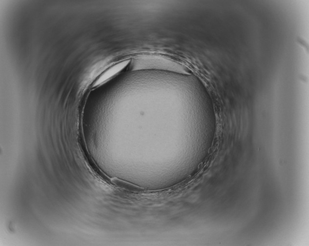 X0000094780005200712071215