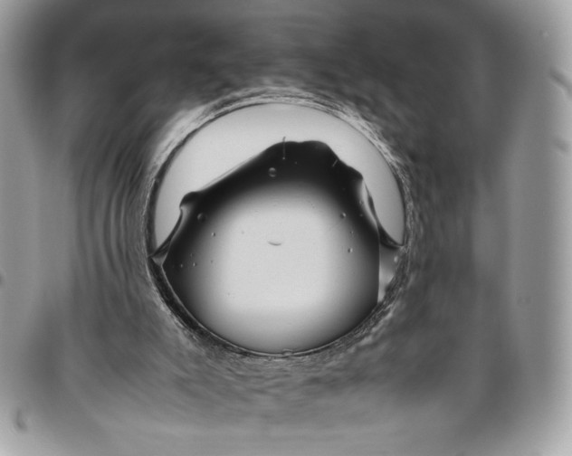 X0000094780007200712071215