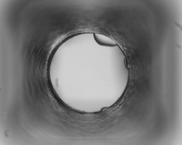 X0000094780008200712071215