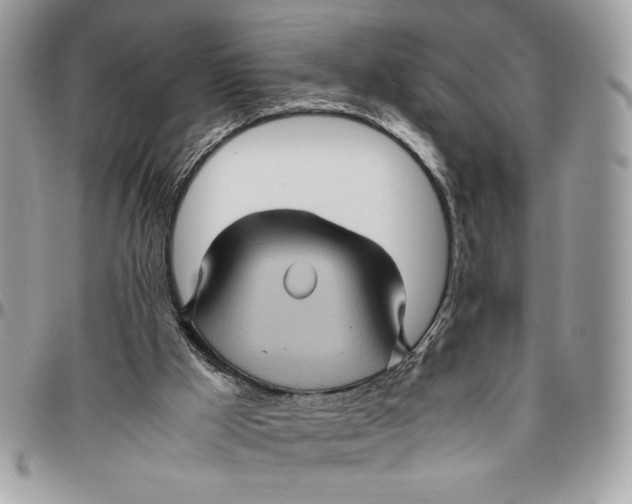 X0000094780009200712071215