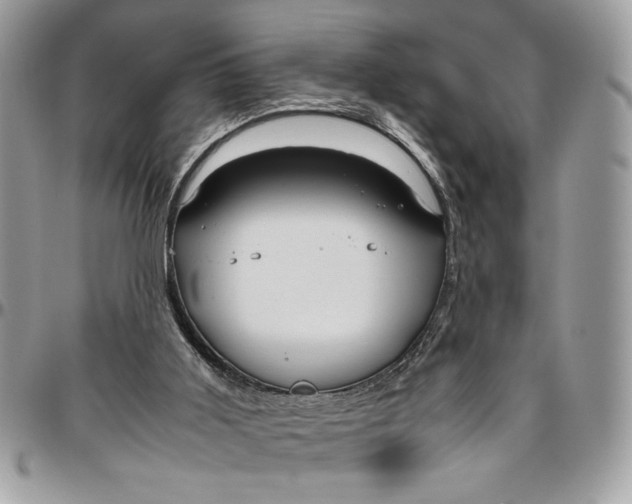 X0000094780011200712071215