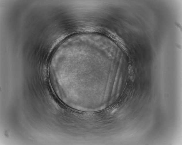 X0000094780012200712071215