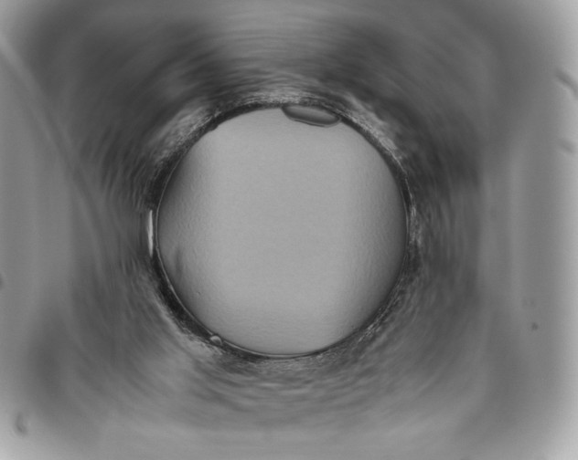 X0000094780013200712071215