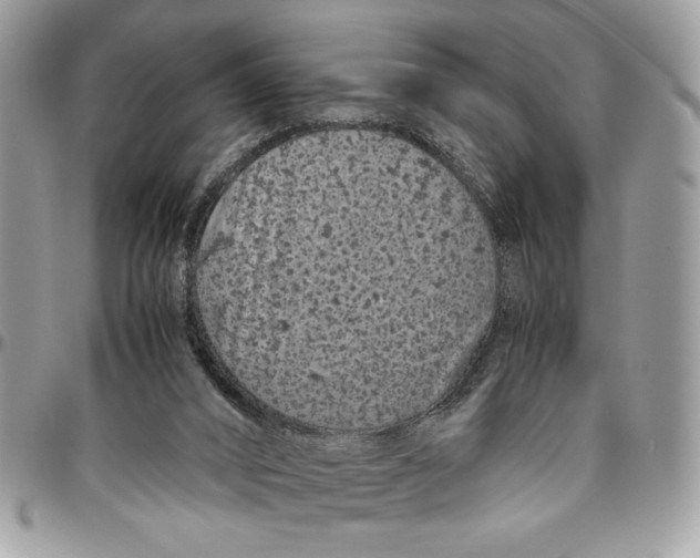 X0000094780016200712071215