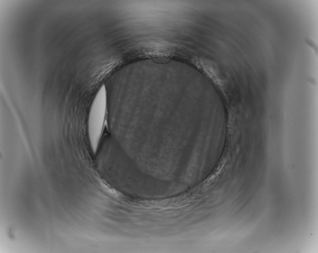 X0000094780017200712071215