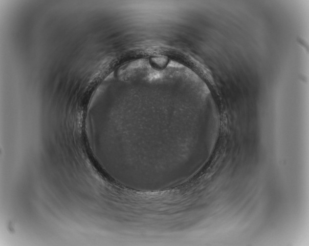 X0000094780018200712071215