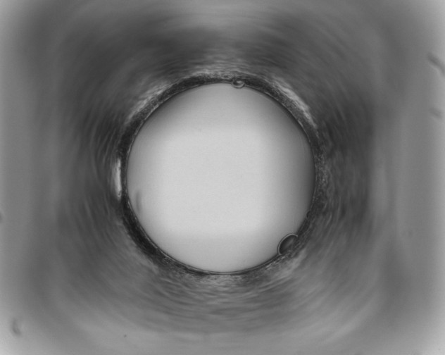 X0000094780020200712071215