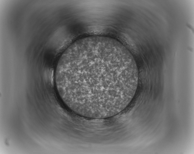 X0000094780024200712071215