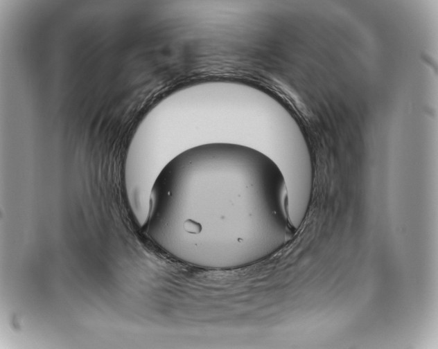 X0000094780025200712071215