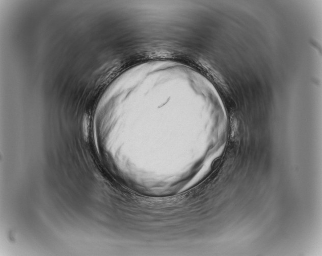 X0000094780026200712071215