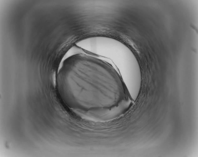 X0000094780027200712071215