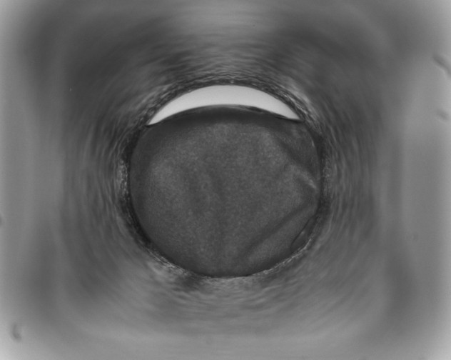 X0000094780029200712071215