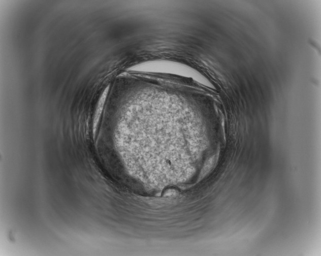 X0000094780030200712071215