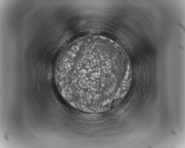 X0000094780032200712071215