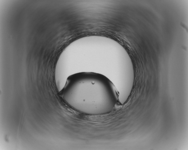 X0000094780033200712071215