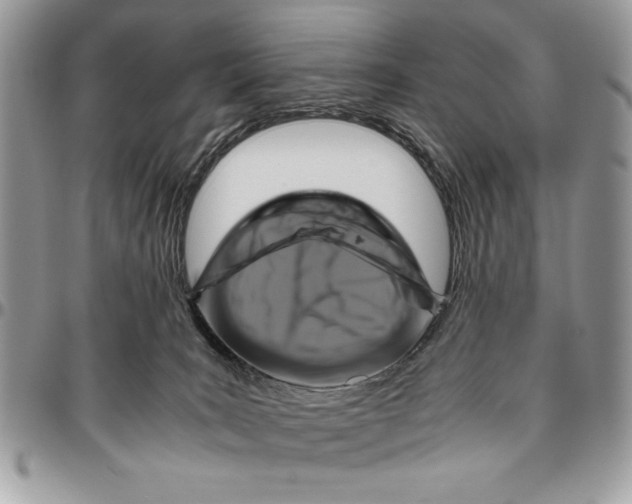 X0000094780035200712071215