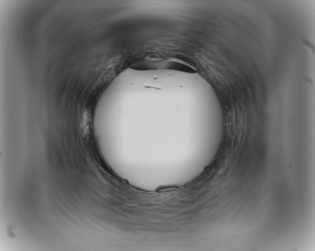 X0000094780038200712071215