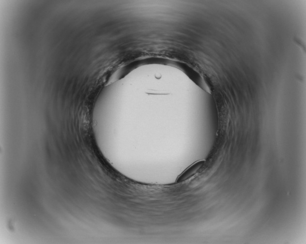 X0000094780040200712071215