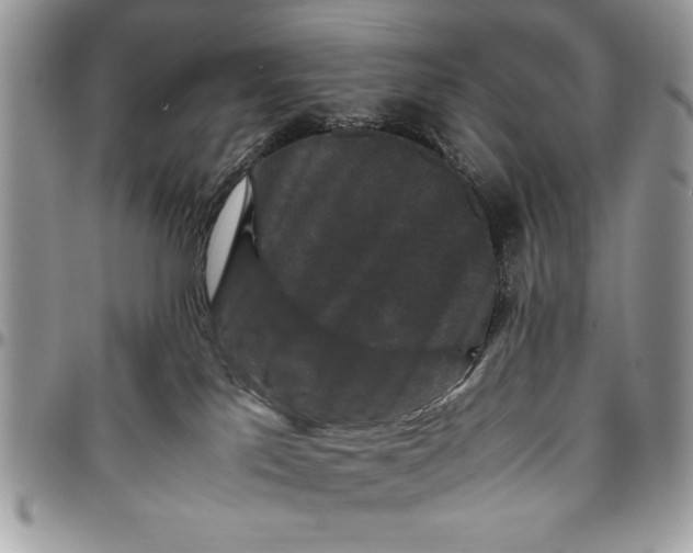 X0000094780041200712071215