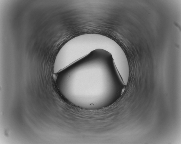 X0000094780043200712071215