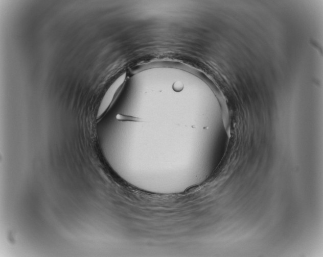 X0000094780044200712071215