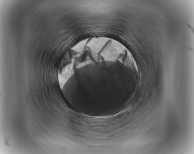 X0000094780048200712071215