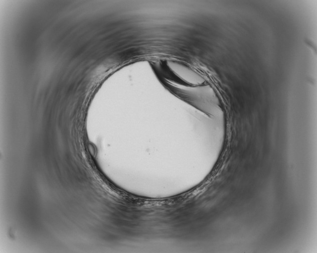 X0000094780049200712071214