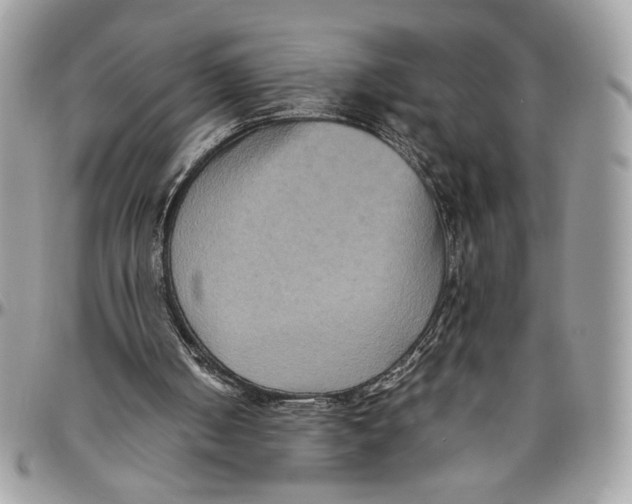 X0000094780050200712071214