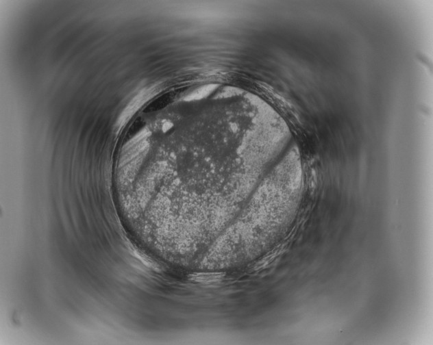 X0000094780051200712071214