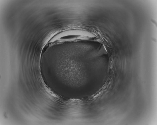 X0000094780052200712071214