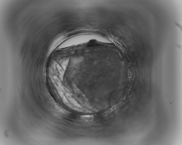 X0000094780053200712071214