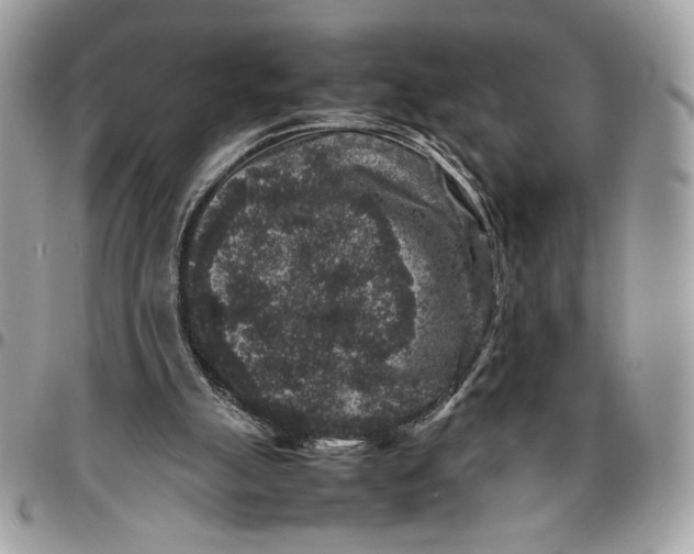 X0000094780055200712071214