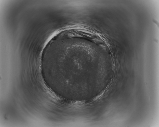 X0000094780056200712071214