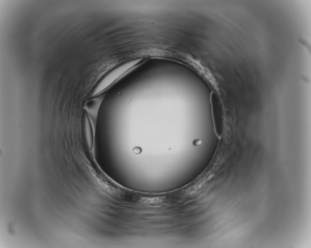 X0000094780057200712071214