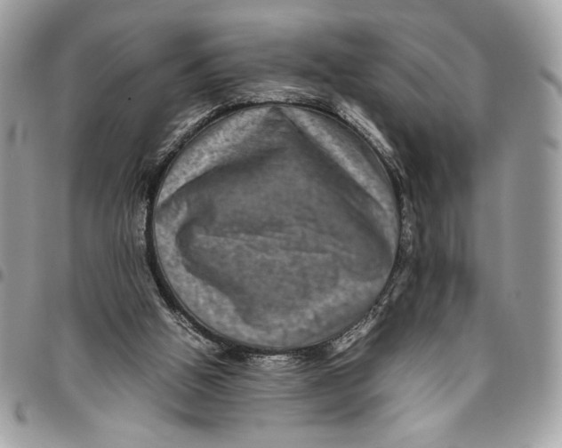 X0000094780058200712071214