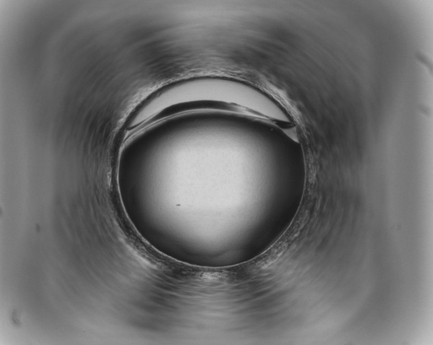 X0000094780060200712071214