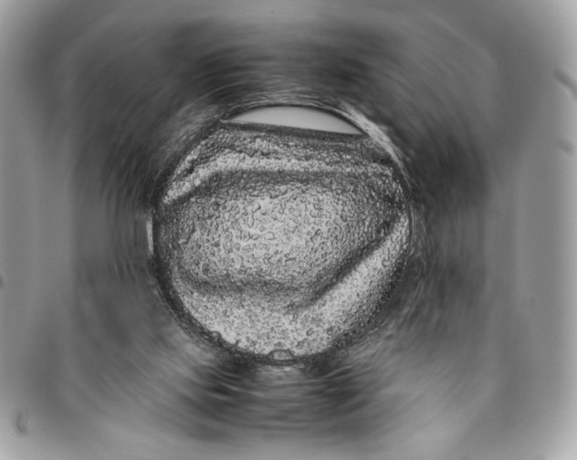 X0000094780061200712071214