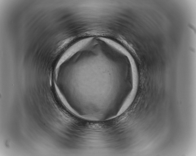 X0000094780062200712071214