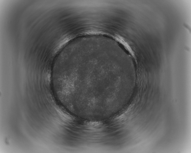 X0000094780063200712071214