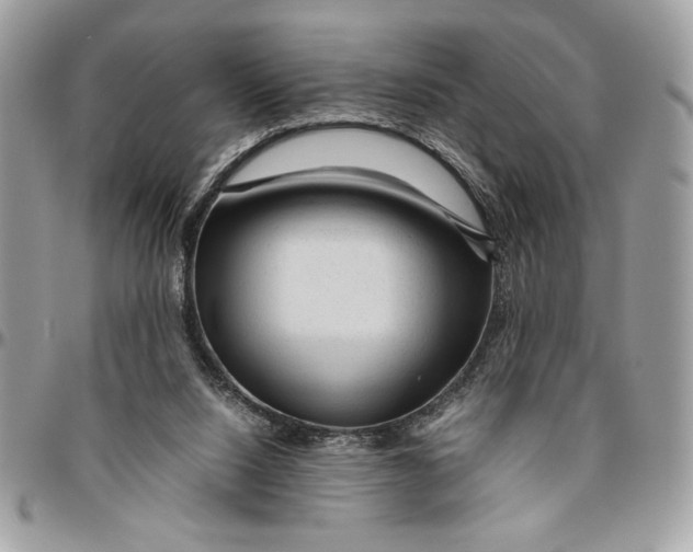 X0000094780064200712071214