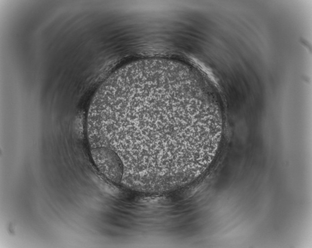 X0000094780065200712071214