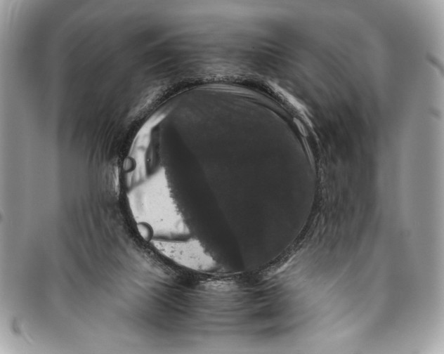 X0000094780067200712071214